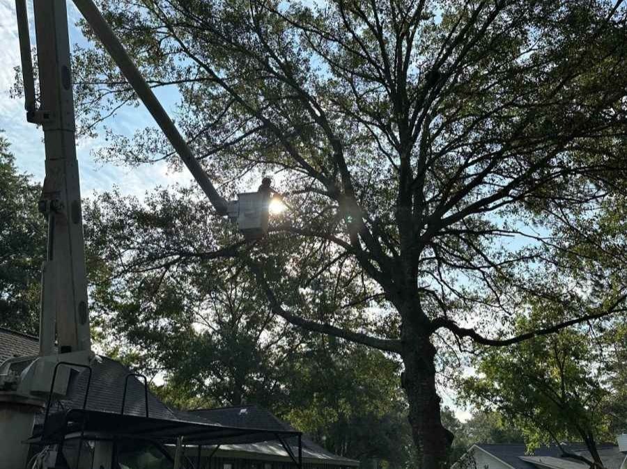 El Costeño Tree Service LLC